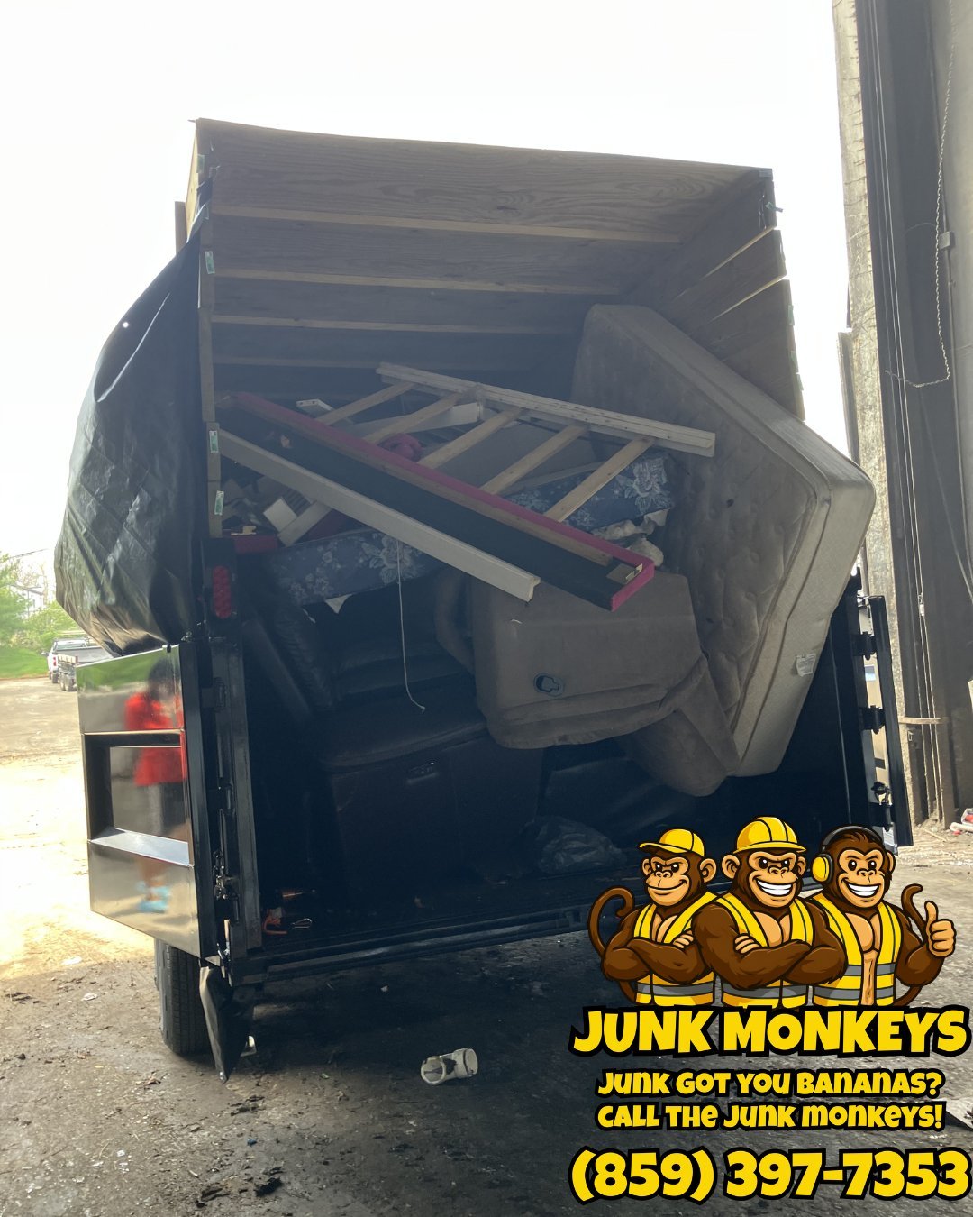 Open junk removal truck with furniture and debris inside, Junk Monkeys logo and contact number displayed